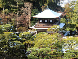 20110105_289shuusei.jpg