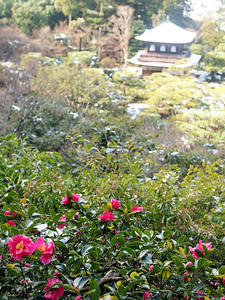 20110105_298shuusei.jpg