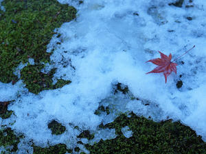 20110105_359shuusei.jpg