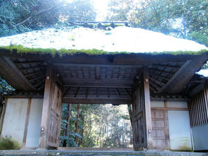 20110105_363shuusei.jpg