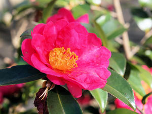 20110105_373shuusei.jpg