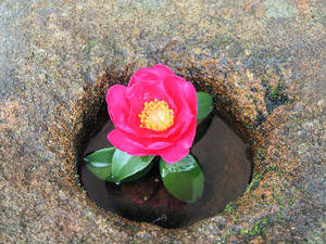 20110105_379shuusei.jpg