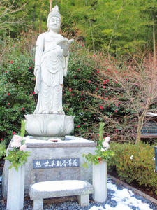 20110105_393shuusei.jpg