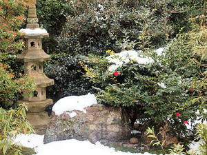 20110105_405shuusei.jpg