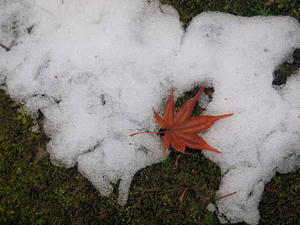 20110105_428shuusei.jpg