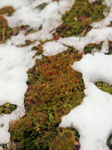 20110105_431shuusei.jpg