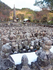 20110105_446shuusei.jpg