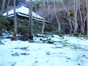 20110105_467shuusei.jpg