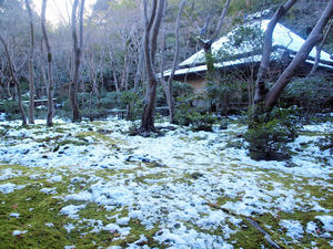 20110105_477shuusei.jpg