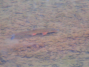 20110105_509shuusei.jpg