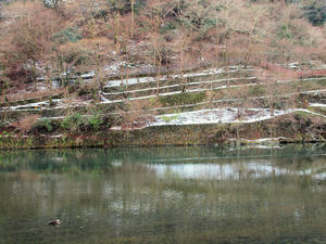 20110105_515shuusei.jpg