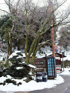 20110105_527shuusei.jpg