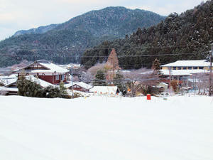 20110105_529shuusei.jpg