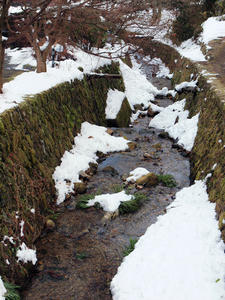 20110105_532shuusei.jpg