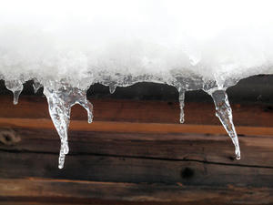 20110105_533shuusei.jpg