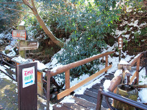 20110105_699shuusei.jpg