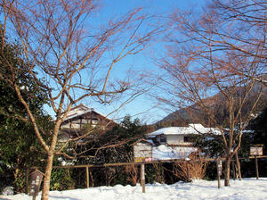 20110105_661shuusei.jpg