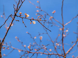 20110105_662shuusei.jpg
