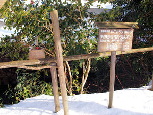 20110105_665shuusei.jpg