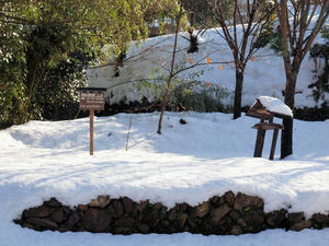 20110105_666shuusei.jpg