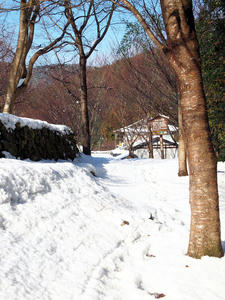 20110105_694shuusei.jpg
