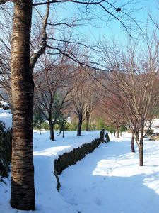 20110105_697shuusei.jpg