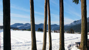 20110105_672shuusei.jpg