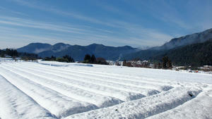 20110105_670shuusei.jpg