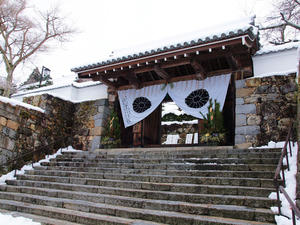 20110105_543shuusei.jpg