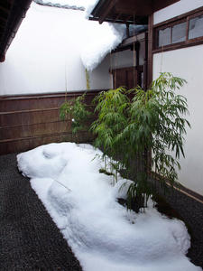 20110105_544shuusei.jpg