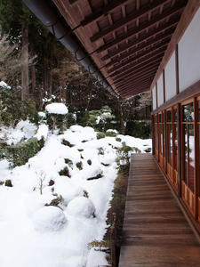 20110105_546shuusei.jpg