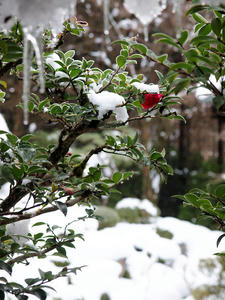20110105_556shuusei.jpg