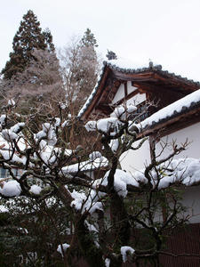 20110105_555shuusei.jpg