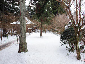 20110105_557shuusei.jpg
