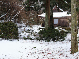 20110105_561shuusei.jpg