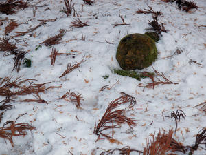 20110105_585shuusei.jpg