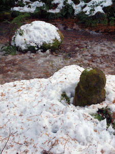 20110105_591shuusei.jpg