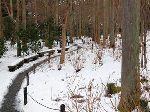20110105_597shuusei.jpg