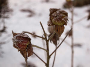 20110105_607shuusei.jpg