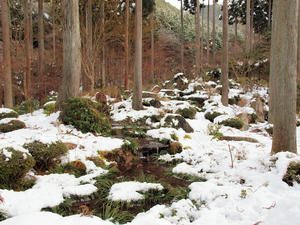 20110105_612shuusei.jpg