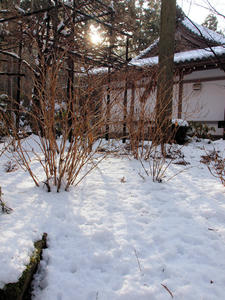 20110105_620shuusei.jpg