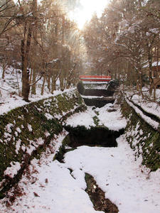 20110105_628shuusei.jpg