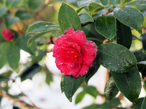 20110105_629shuusei.jpg