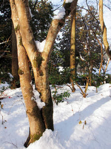 20110105_630shuusei.jpg