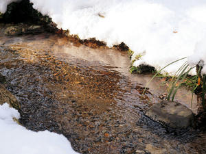 20110105_632shuusei.jpg
