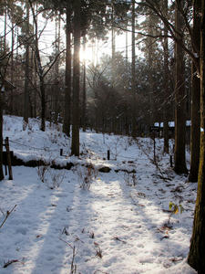 20110105_635shuusei.jpg