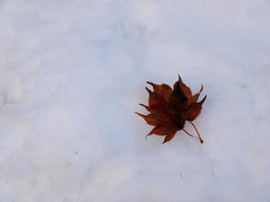 20110105_648shuusei.jpg