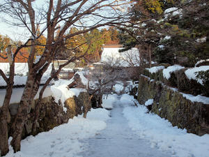 20110105_652shuusei.jpg