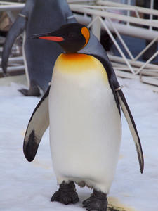 20110105_720shuusei.jpg