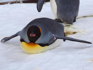 20110105_718shuusei.jpg